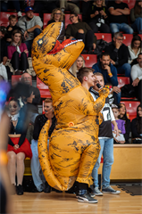 9. kolo TIPOS SBL: BC Prievidza - Nitra Blue Wings 63:80 (Vladimír Králik)
