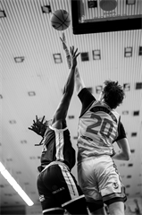 19. kolo TIPOS SBL: BC Prievidza : BC Komárno 101:76 (Vladimír Králik)